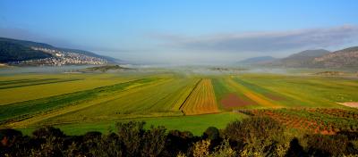 Galilée au printemps à coté de Deir Hanna (25 minutes de l'Oasis)